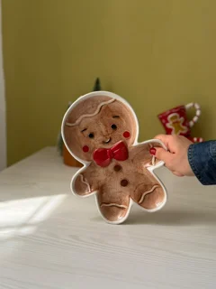 ظرف بیسکوییی جینجر